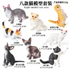 ชุดเซ็ต [ใหม่] HSJ Cat 8 สไตล์ สีสันสดใส