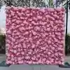 Rose 01