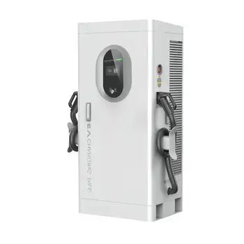 GBT CCS ChadeMO DC Fast EV Charger 30kw 40KW 60kw 80kw120kw Ocpp 1.6 CCS1 CCS2 Vehicle Car DC Charging Station Commercial