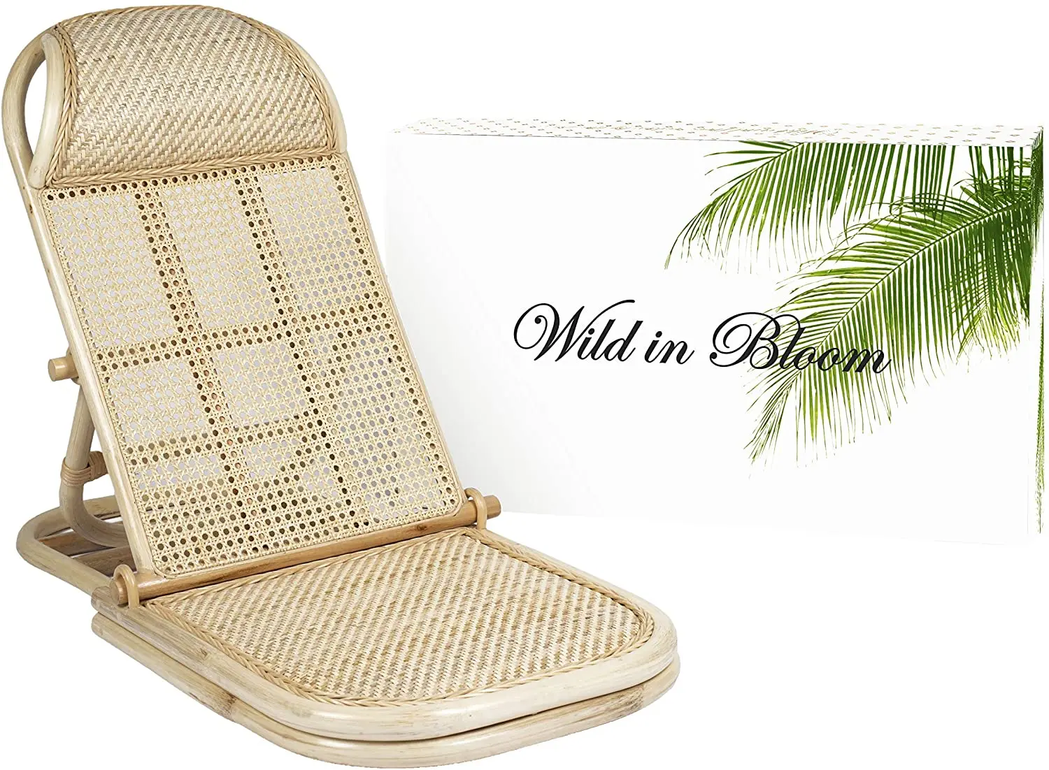 foldable rattan beach chair