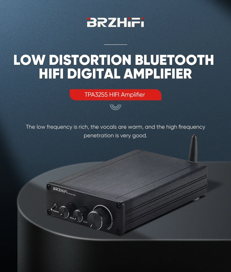 BRZHIFI DAC TPA3255 BT5.0 HIFI 300W+300W LDAC APTX Stereo Audio Class D 2.0 Channel Digital Amplifier factory