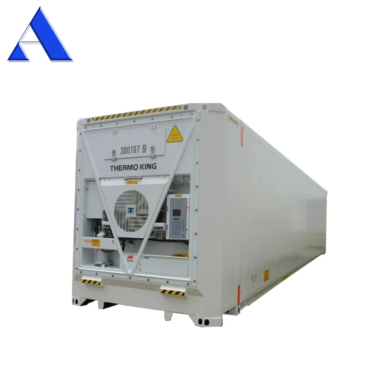 45ft HC Refrigerated Reefer Container 380/460V Low Temperature Stainless Steel and Aluminium for Vegetable & Fruit Storage