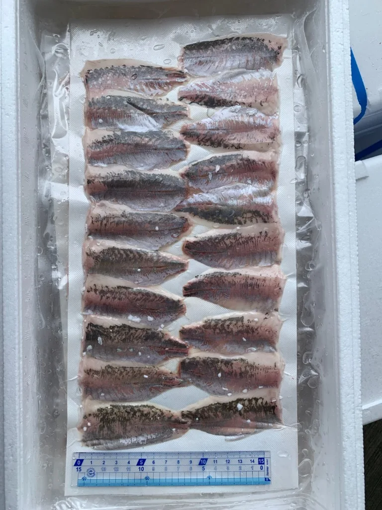 Fresh Pacific Mackerel Fish Frozen Wholesalers Seafood Supplier Buy