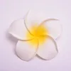 White 1