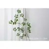 Guanyin Lotus without flowers - Large stem 120CM
