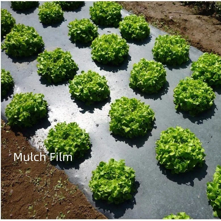 Ground Cover Cloth Weed Barrier Silver Black Biodegradable Mulching Paper Film Agricultural Plastic Mulch Film