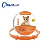 Orange Cat