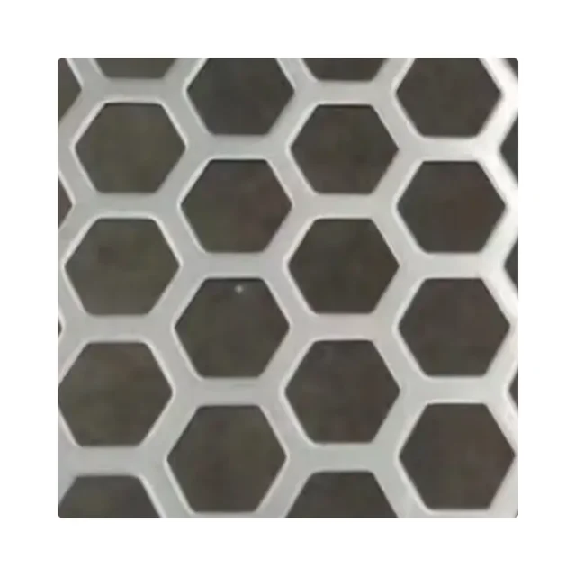 Direct Sale AISI 304 Corrosion-Proof Material Conveying Perforated Metal Plates for Chain Conveyor 6