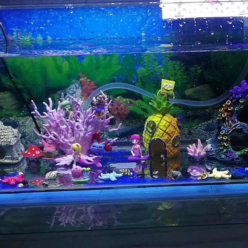 Aquarium Decorations PNG Transparent Images Free Download | Vector Files |  Pngtree