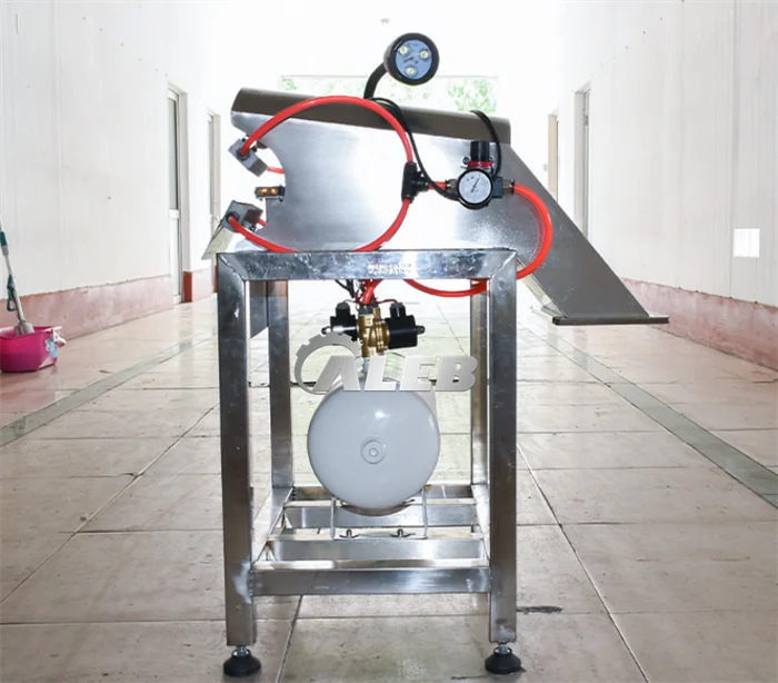 Saving Labor Dry Spring Onion Peeling Machine Automatic Green Onion Peeler Leek Blowing Machine Chives Peeling Machine