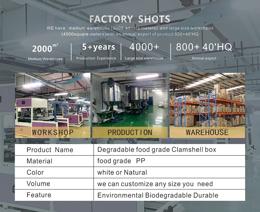 9" Ecofriendly Round Plate Recyclable Disposable Plastic Pp Plates Manufacturer Custom High