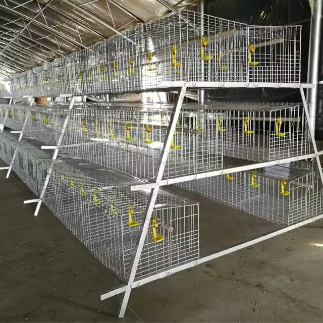 A Shape Wire Mesh Battery 10000 Layer Chickens Farm Bird Cage for Sale