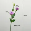 Viola chiaro