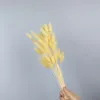 Champagne
