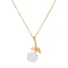 XL4097 สีขาว-1
