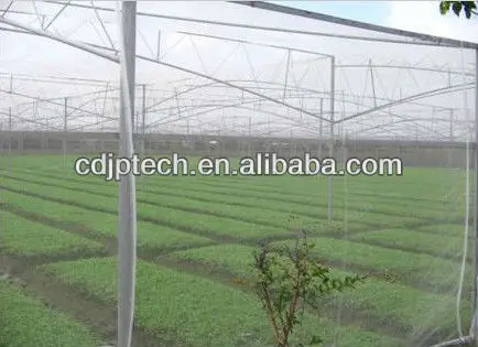 PE/PO Film Galvanised Steel Greenhouse For Mushroom Cultivation