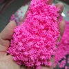 5 mm rosa acceso