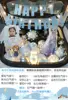 Princess elsa collection