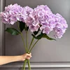 Rose violet-nouveau style
