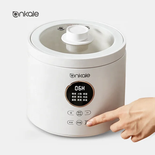 2024 new design ankale mini rice cooker/electric pot/Japanese/korea home appliances multifunction cooker 2L with ceramic pot