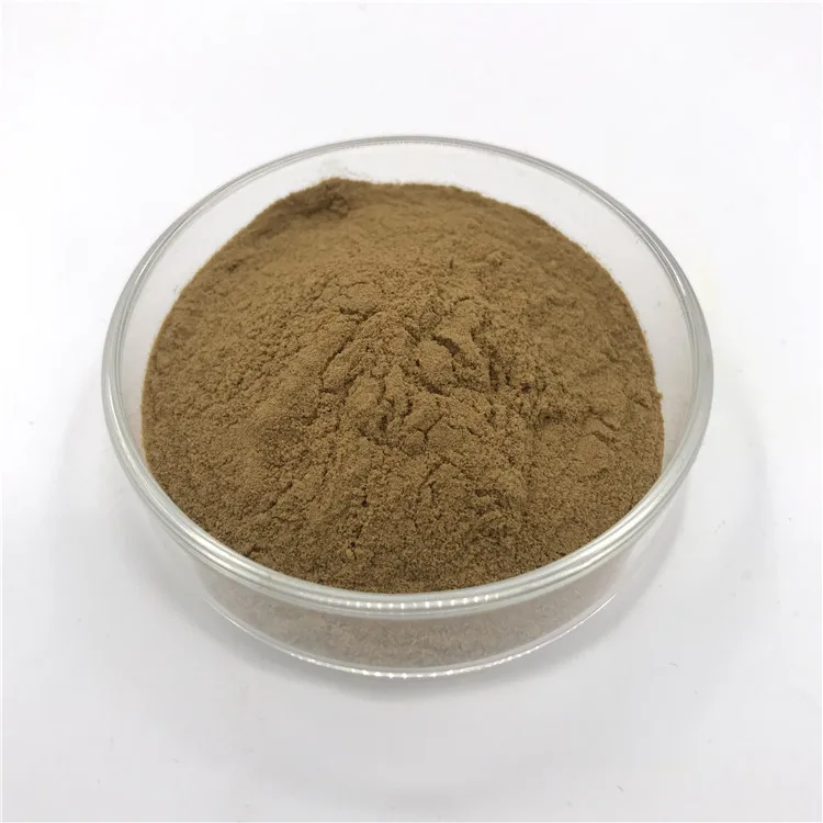 Raw Radula Marginata Herbs Powder/Wairuakohu Powder| Alibaba.com