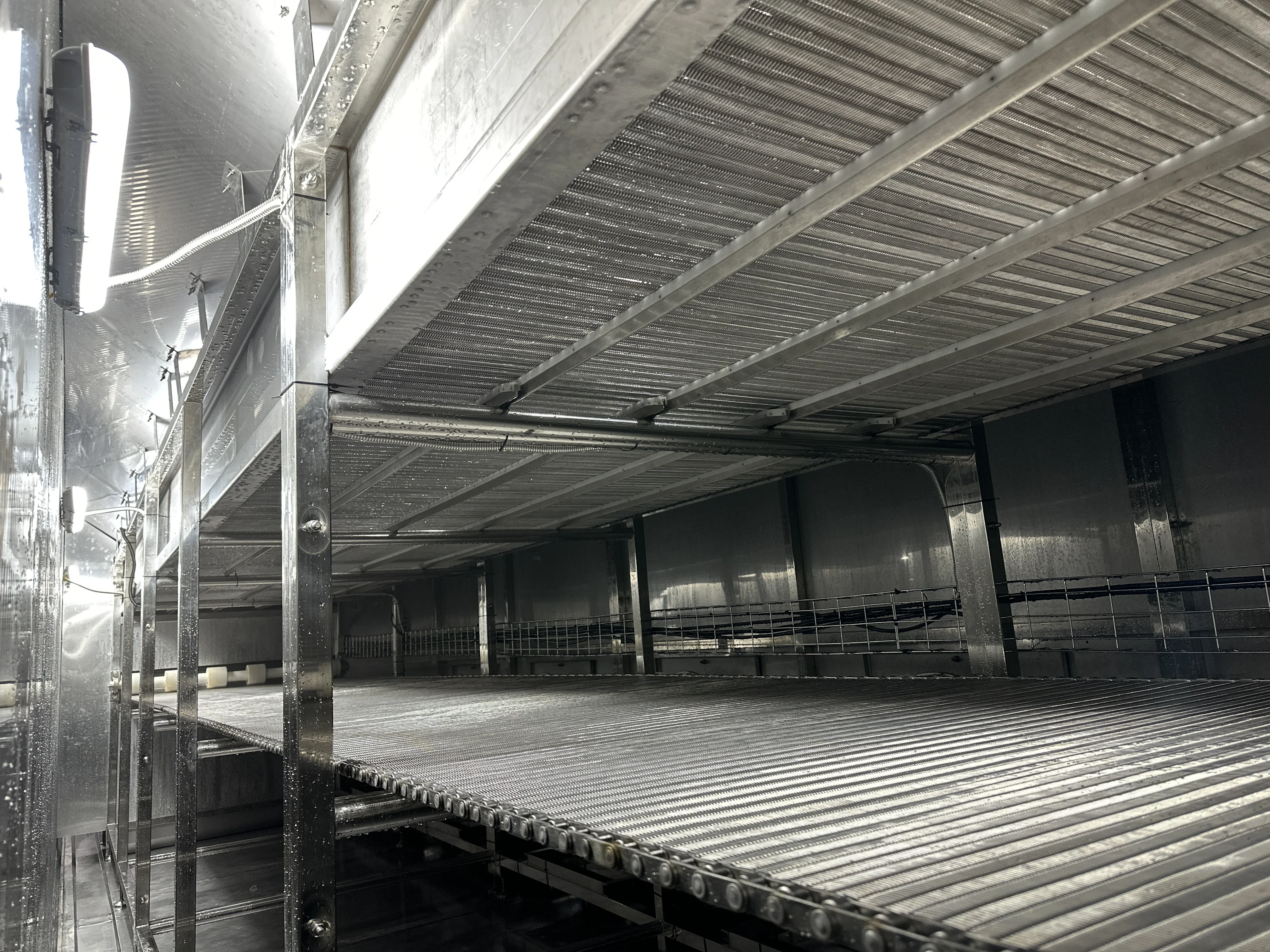 Continuous IQF freezer tunnel high-speed freezer for fruits, vegetables and meat