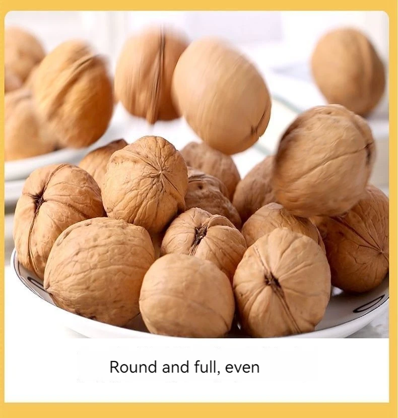 China Origin Wholesale Walnuts With Shell Buy Walnuts With Shell