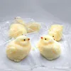 Poussins de millet [couleur aléatoire]