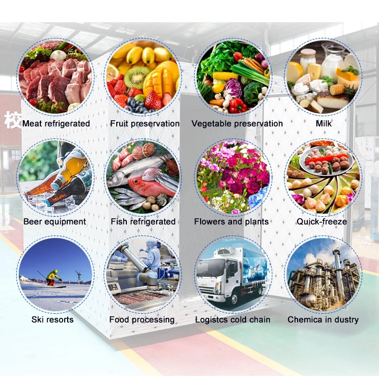 Mobile Walk in Freezer Large Cold Storage Room Vegetables Fruits Meat Cold Room