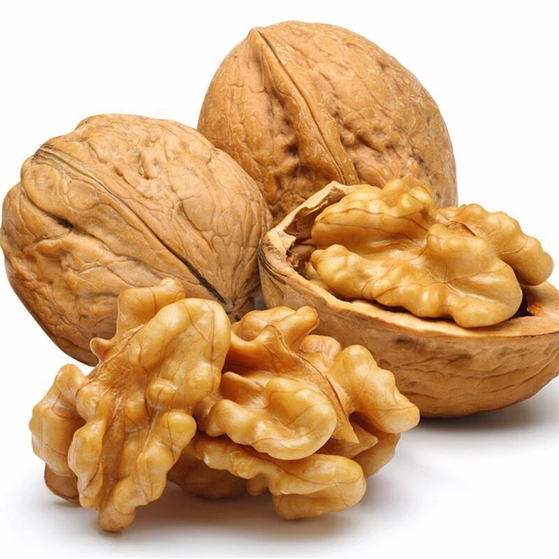 xinjiang  premium quality walnut