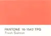 FreshSalmon