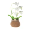 Lily of the valley