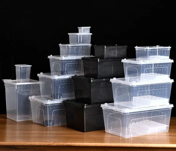 Various size transparent / black plastic reptile breeding box