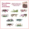 Aneddoti su fiori in piena fioritura - rosa
