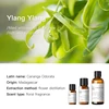 Ylang Ylang (Madagascar) 10ml