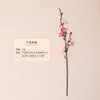 กิ่งยาว - สีชมพูกุหลาบ