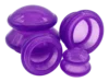 Pourpre