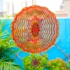 Orange chrysanthemum