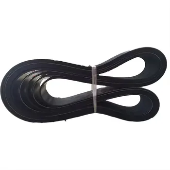 Factory Wholesale 3098753 3020908 3098364 300202 3040303 3092206 3807004 Ksd Pk Belt