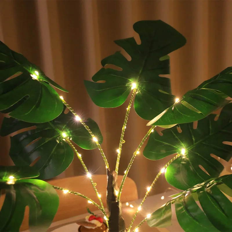 philodendron spiritus sancti Philodendron spiritus sancti – Carnivero main image 1