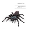 araña embudo