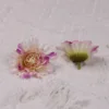 Una flor de color púrpura rosado