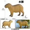 M-2328 capybara capibara