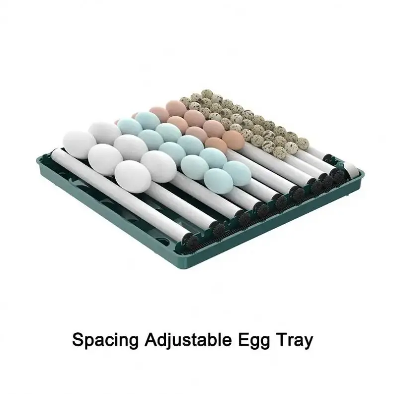Automatic Temperature  Egg Incubator Factory Best Price 15/30/48/70/130 Pcs Mini Automatic  Water SupplyChicken Egg Incubator