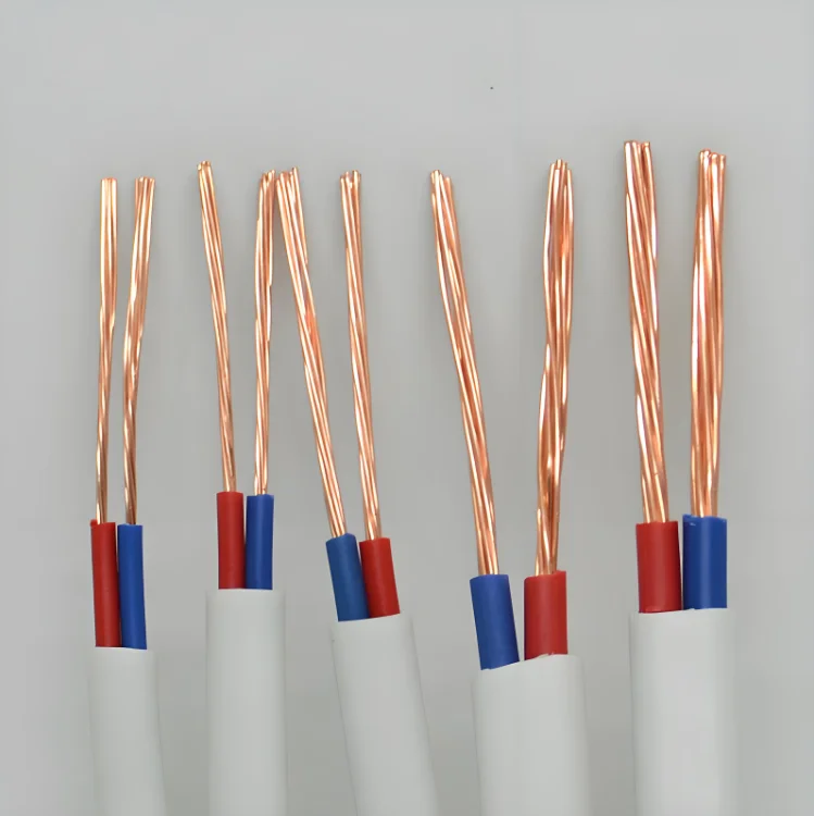 공장 직접 BVVB 꼬임 쌍 및 접지 와이어 1.5mm 2.5mm 4mm 구리 코어 2/3 코어 PVC 절연 BVVB 가정용 와이어