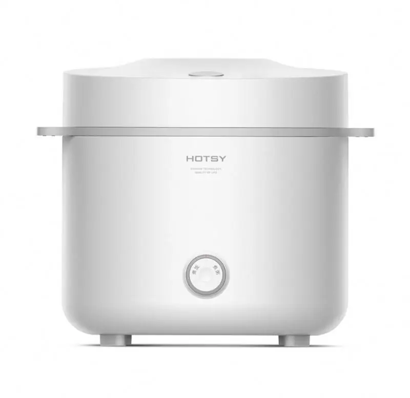 rice cooker 100 watt