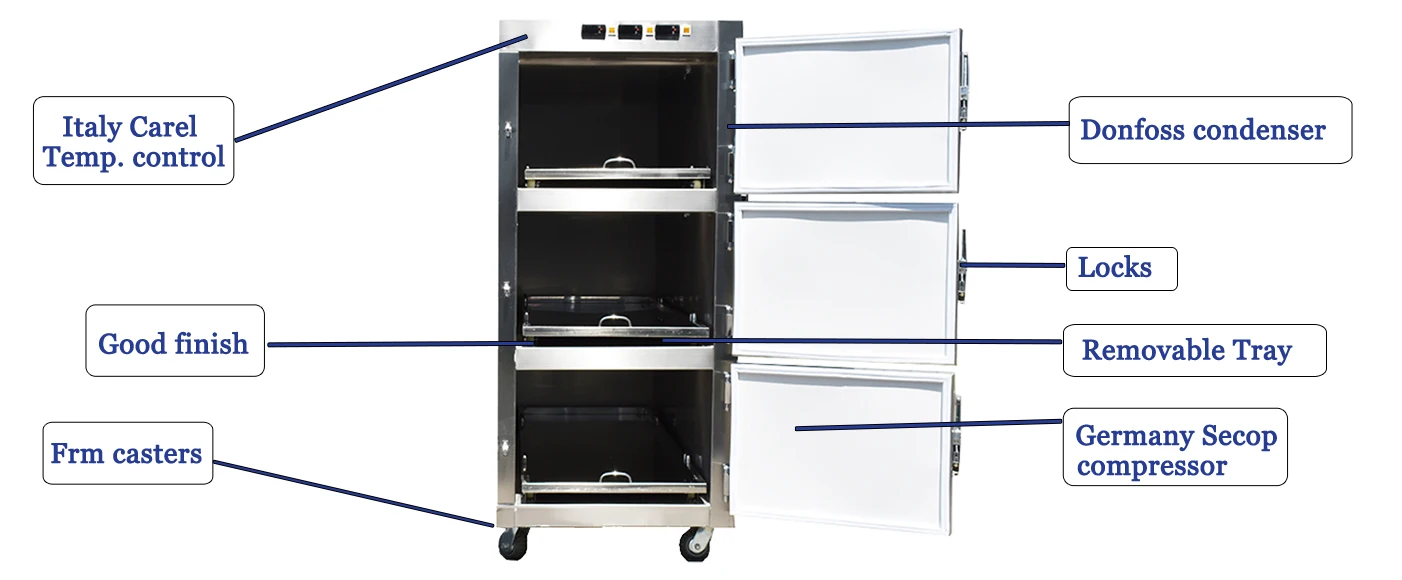 Medical Cadaver Refrigerator Casket Funeral Coffin 3 Drawer Mortuary Refrigerator Price