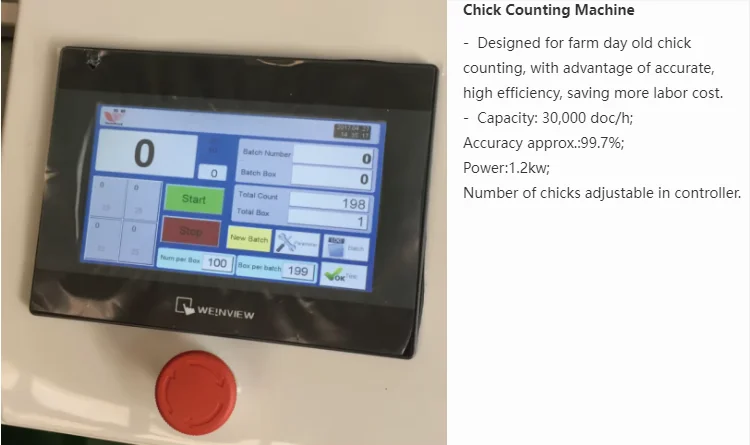 Chick Counting System Chick Counting Machine - Efficient and Reliable Solutions