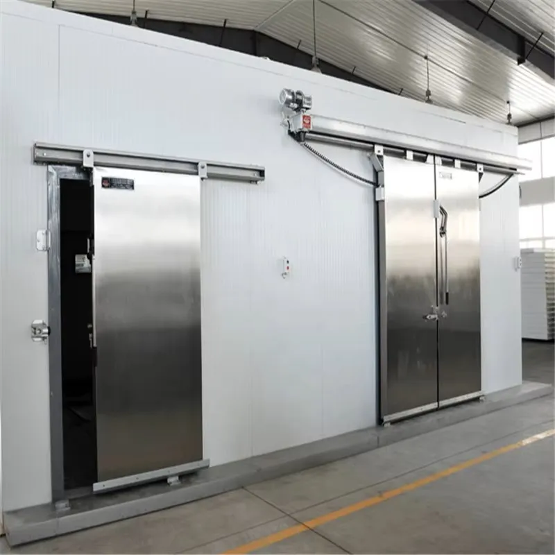 Strongly sealed cold storage sliding door for industrial refrigeration