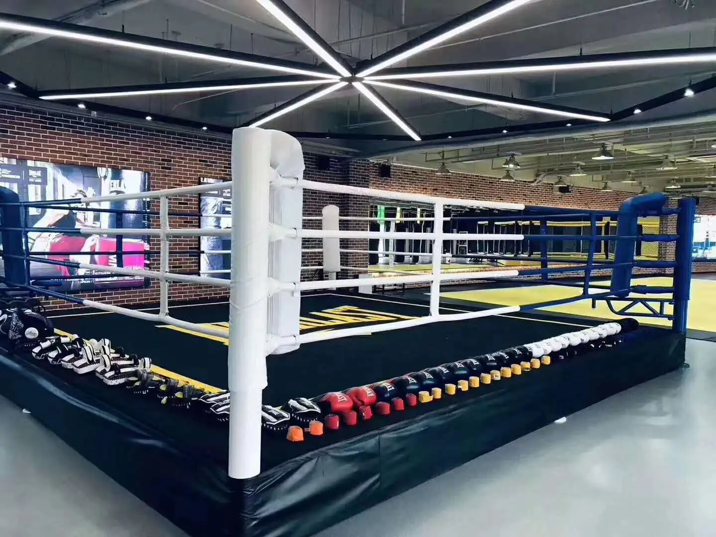 Competition Events Custom Design Martial Arts Boxing Ring for Sale